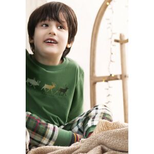 Chlapecké pyžamo Italian Fashion Seward - dlouhé bavlněné Zelená 14 let